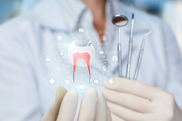 Best Teeth Whitening  in Bohemia, NY